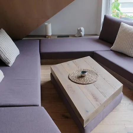 公寓 Penthouse View In Town 卢布尔雅那