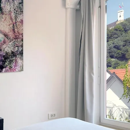 公寓 Penthouse View In Town 卢布尔雅那