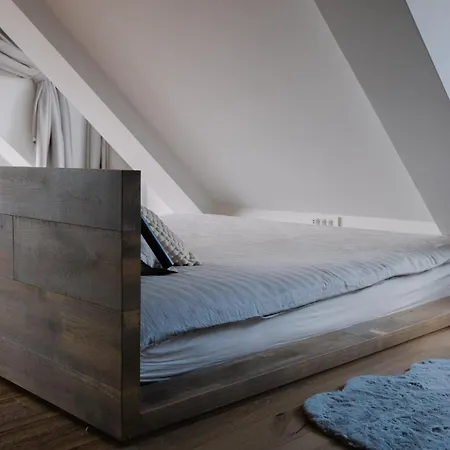 Bela & Vista Penthouse Daire Ljubljana