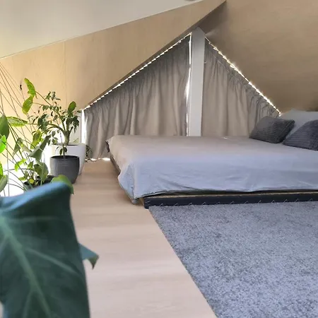 Bela & Vista Penthouse Apartment *