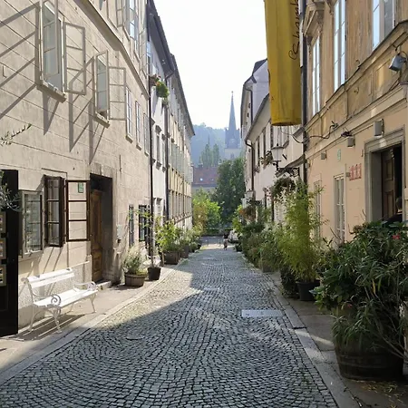 公寓 Bela & Vista Penthouse - Castle View In Old Town 卢布尔雅那