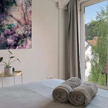 Bela & Vista Penthouse - Castle View In Old Town 公寓 *