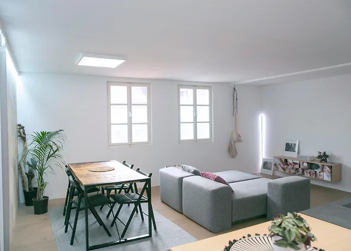 公寓 Bela & Vista Penthouse - Castle View In Old Town 卢布尔雅那