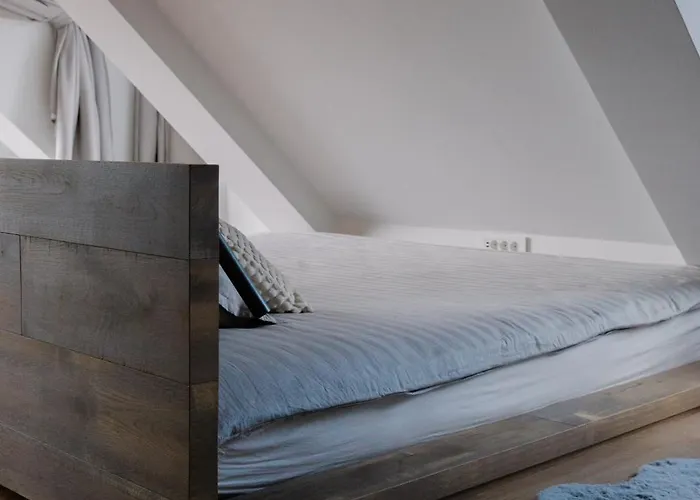 Bela & Vista Penthouse - Castle View In Old Town 公寓 卢布尔雅那