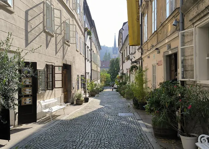 公寓 Bela & Vista Penthouse - Castle View In Old Town 卢布尔雅那